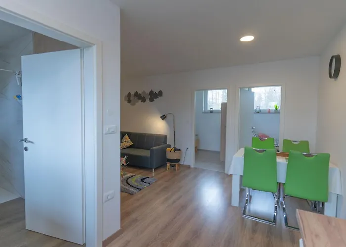 Apartma Fantazija شقة Ribnica